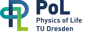 KI generiert: Das Bild zeigt das Logo für "Physics of Life TU Dresden" (PoL). Das Logo besteht aus stilisierten Buchstaben "PoL" und dem Text "Physics of Life TU Dresden".