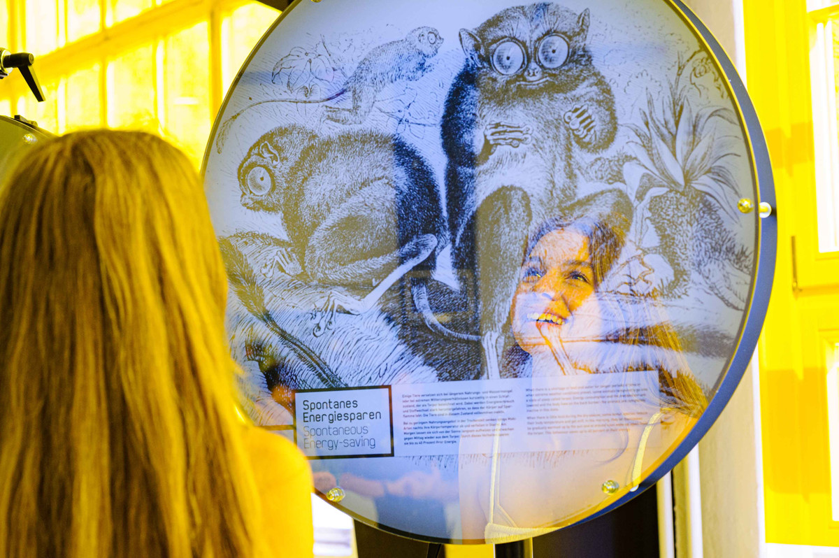 Faszinierend Coole Ausstellungen Mnchen Ebenbildnull